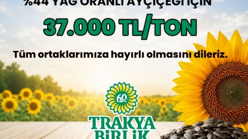 %44 YAĞ ORANLI AYÇİÇEĞİ İÇİN ÖN ALIM FİYATI 37.000 TL/TON